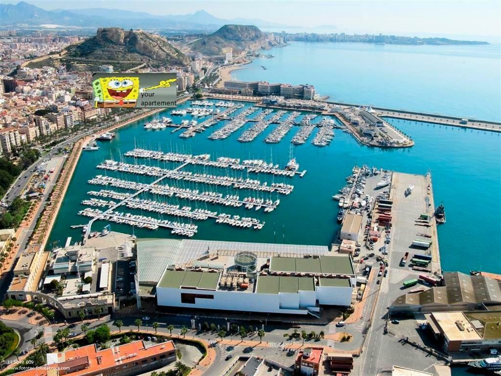 Beach, City Center And Entertainment Αλικάντε Εξωτερικό φωτογραφία